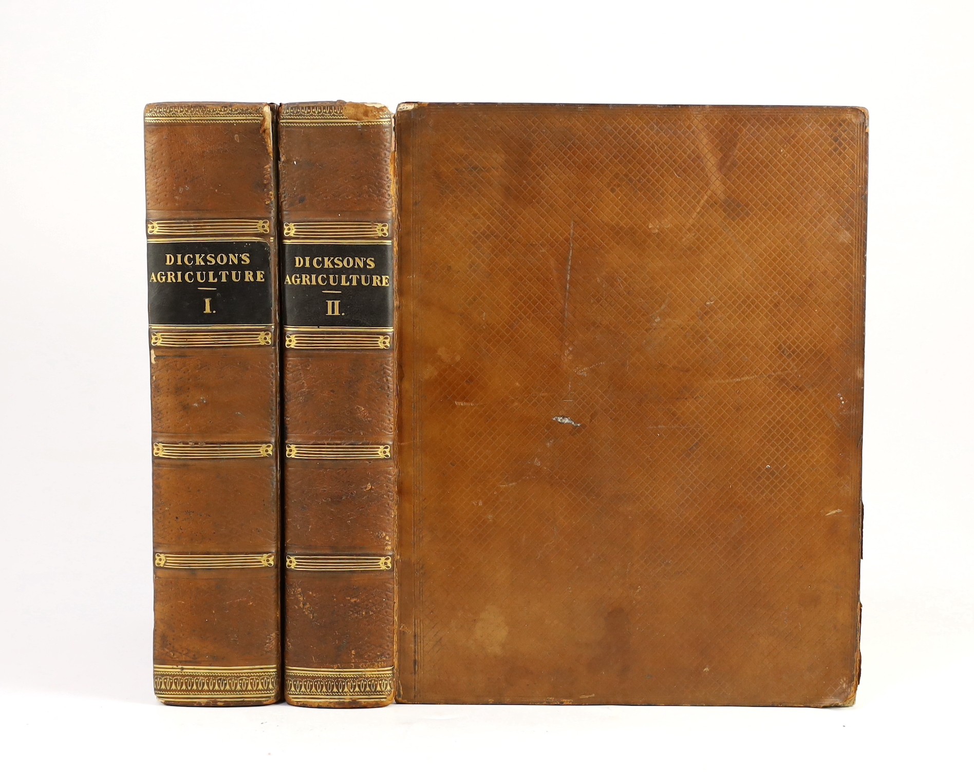 Dickson, R.W. - Practical Agriculture; or, a Complete System of Modern Husbandry: with the methods of planting, and the management of livestock. 2 vols. 81 (ex 87) engraved plates